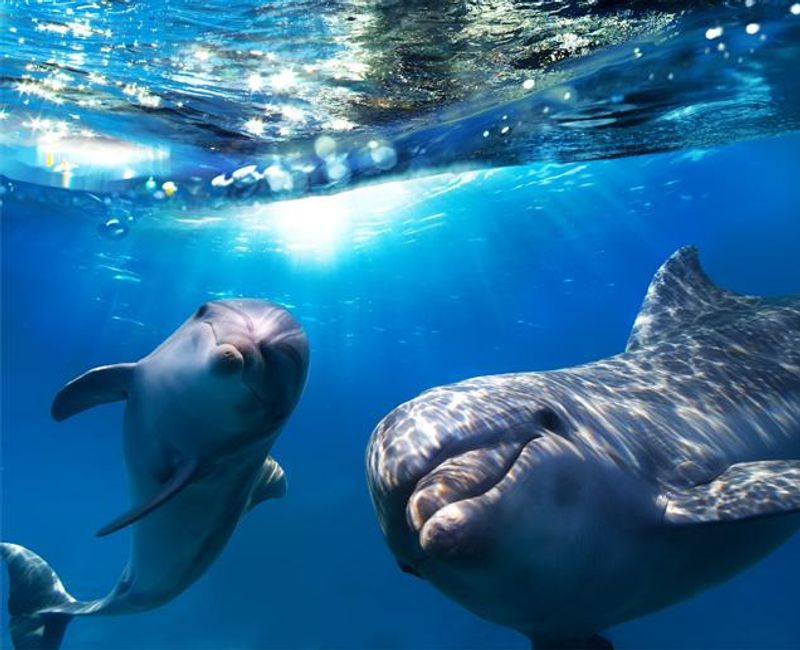 Baderomsspray, Granateple, Ecodrops refill / Ocean Saver