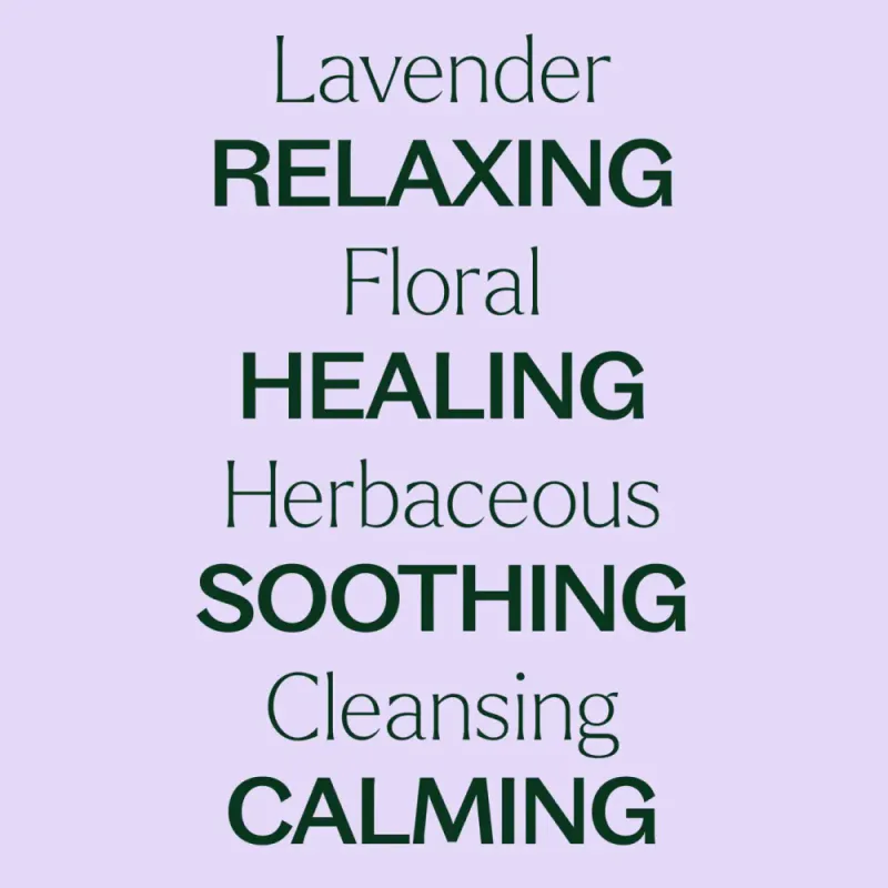 100ml Lavendel eterisk olje / Plant Therapy