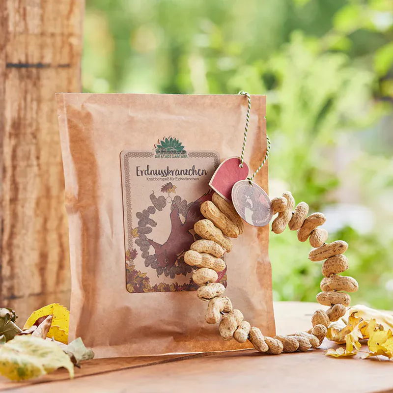 Peanøttkrans - snacks til ekornet / Die Stadtgärtn