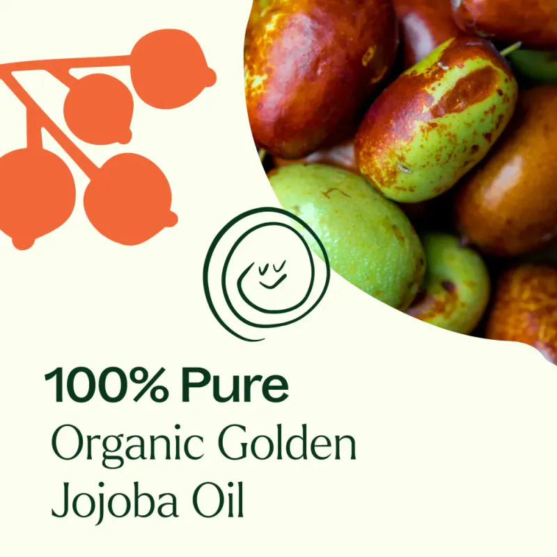 Økologisk jojobaolje 473ml / Plant Therapy