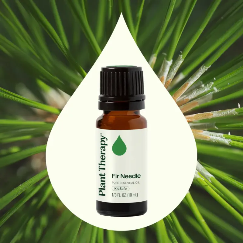 Fir Needle eterisk oljeblanding 10 ml / Plant Therapy