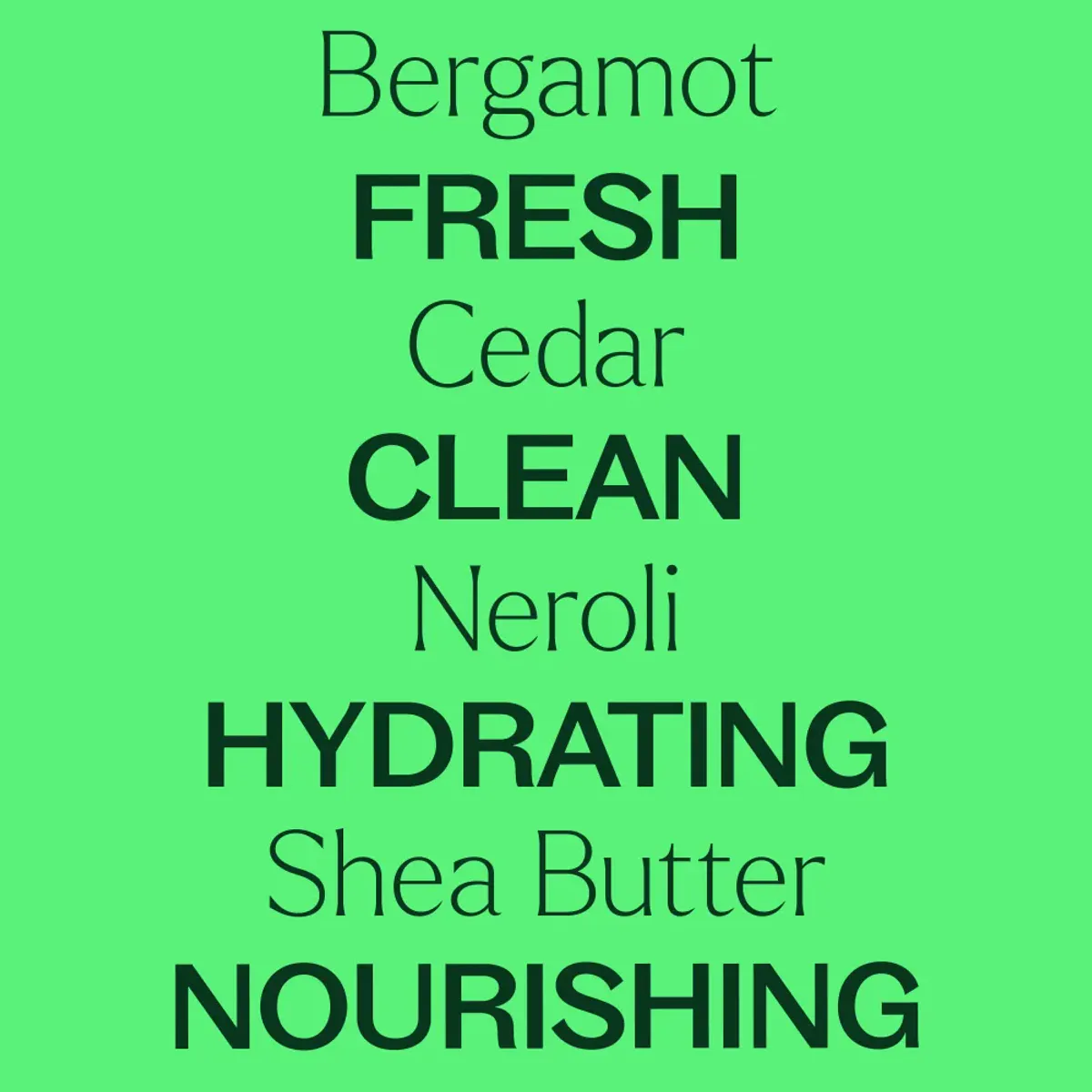 Bergamot Cedar Body Cream 227g / Plant Therapy