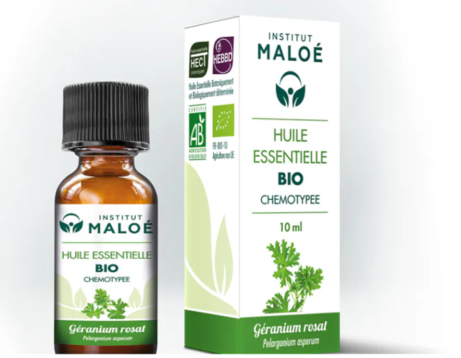 Hovedbilde Rose Geranium eterisk olje, økologisk – 10 ml,  Institut Maloe