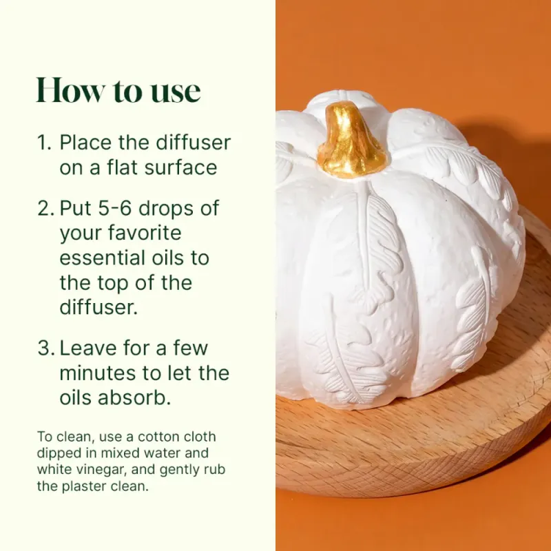 Pumpkin Passive Diffuser| Diffuser uten strøm | Plant Therapy