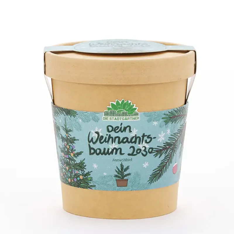 Christmas Tree Growing Kit / Die Stadtgärtner