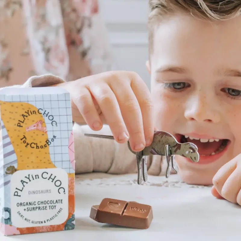 Toychoc Box® - Dinosaurs / PLAYin CHOC 