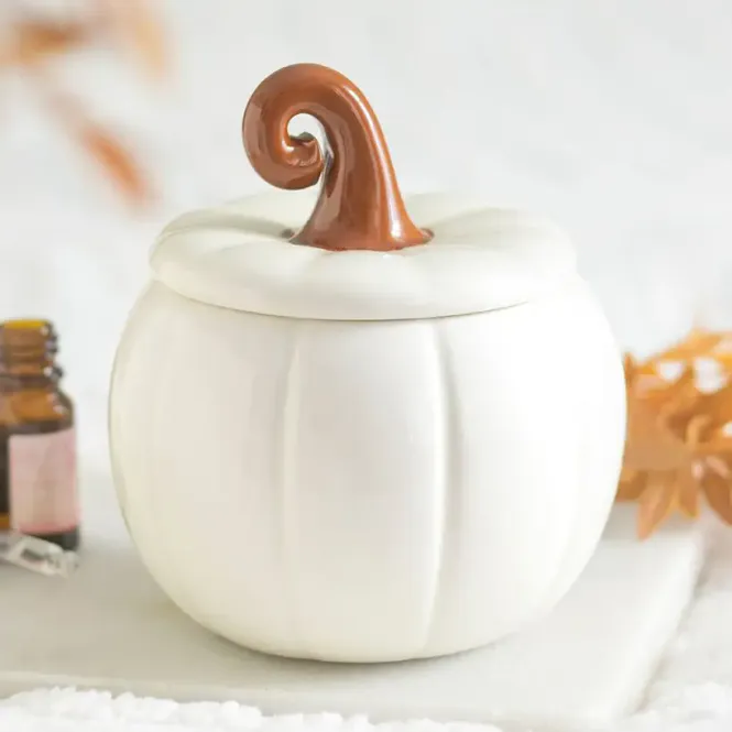 Hovedbilde White Curly Pumpkin Autumn Oil Burner/ Something Different 