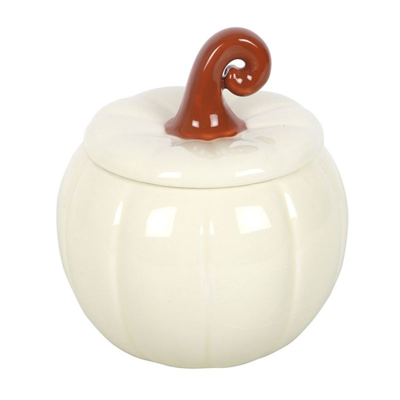 White Curly Pumpkin Autumn Oil Burner/ Something Different 