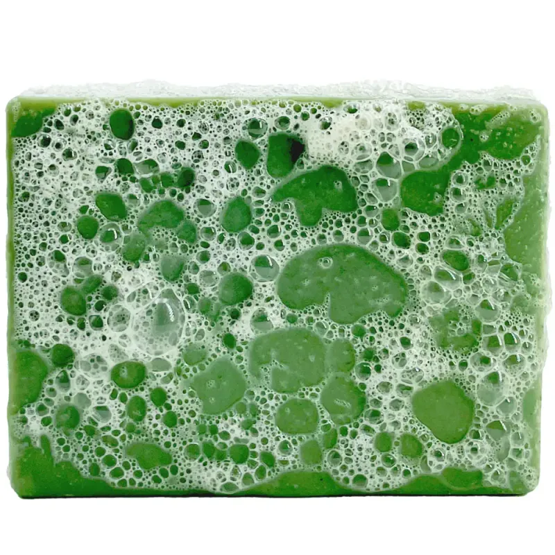 Organic Bar Soap - Wild Forest 100g / Sapiens