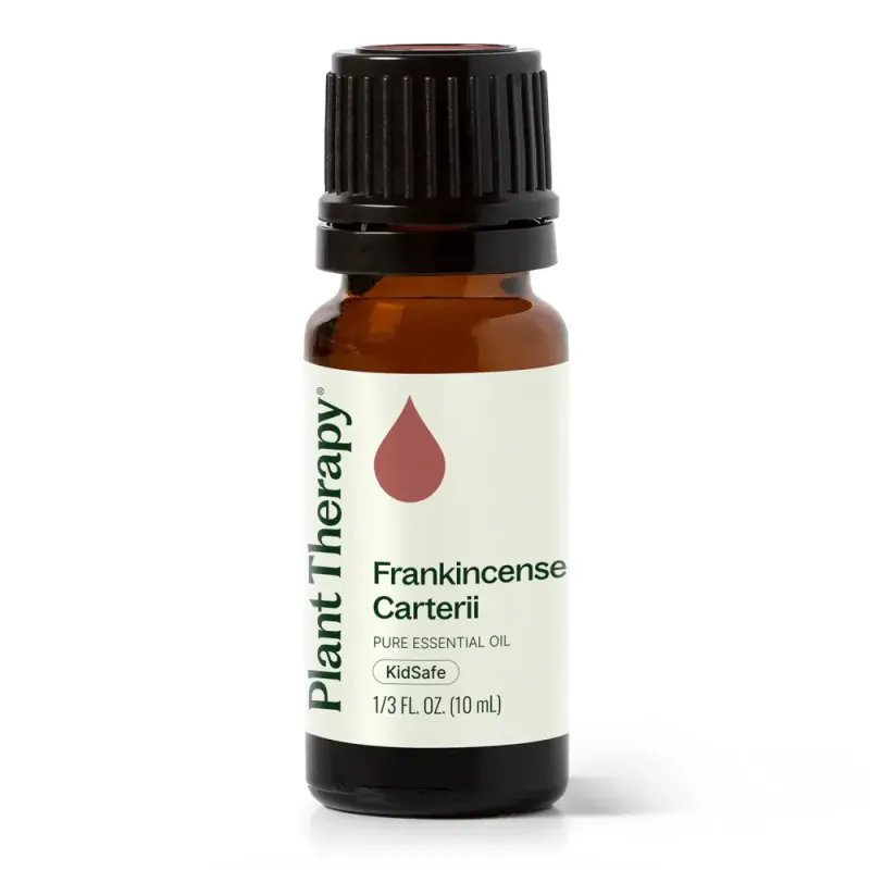 Frankincense Carterii 10ml  / Plant Therapy